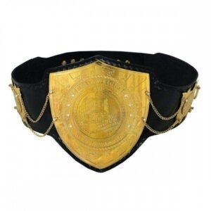 Boxing Championship belts