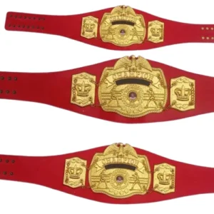 Boxing Championship belts