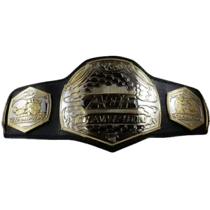 UFC Championship belts