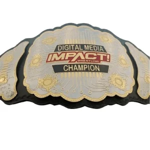 TNa Championship belts